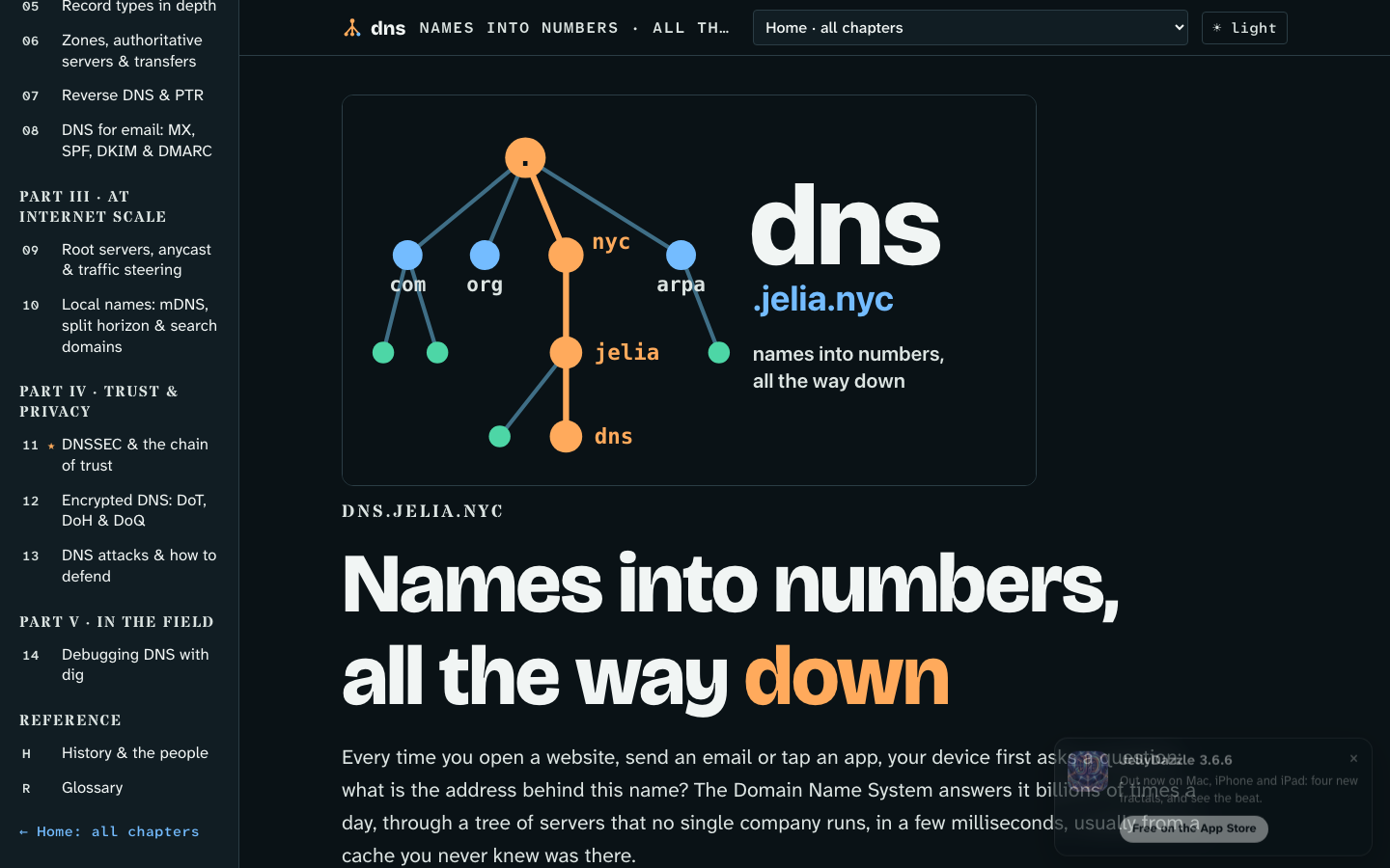 The home page of dns.jelia.nyc